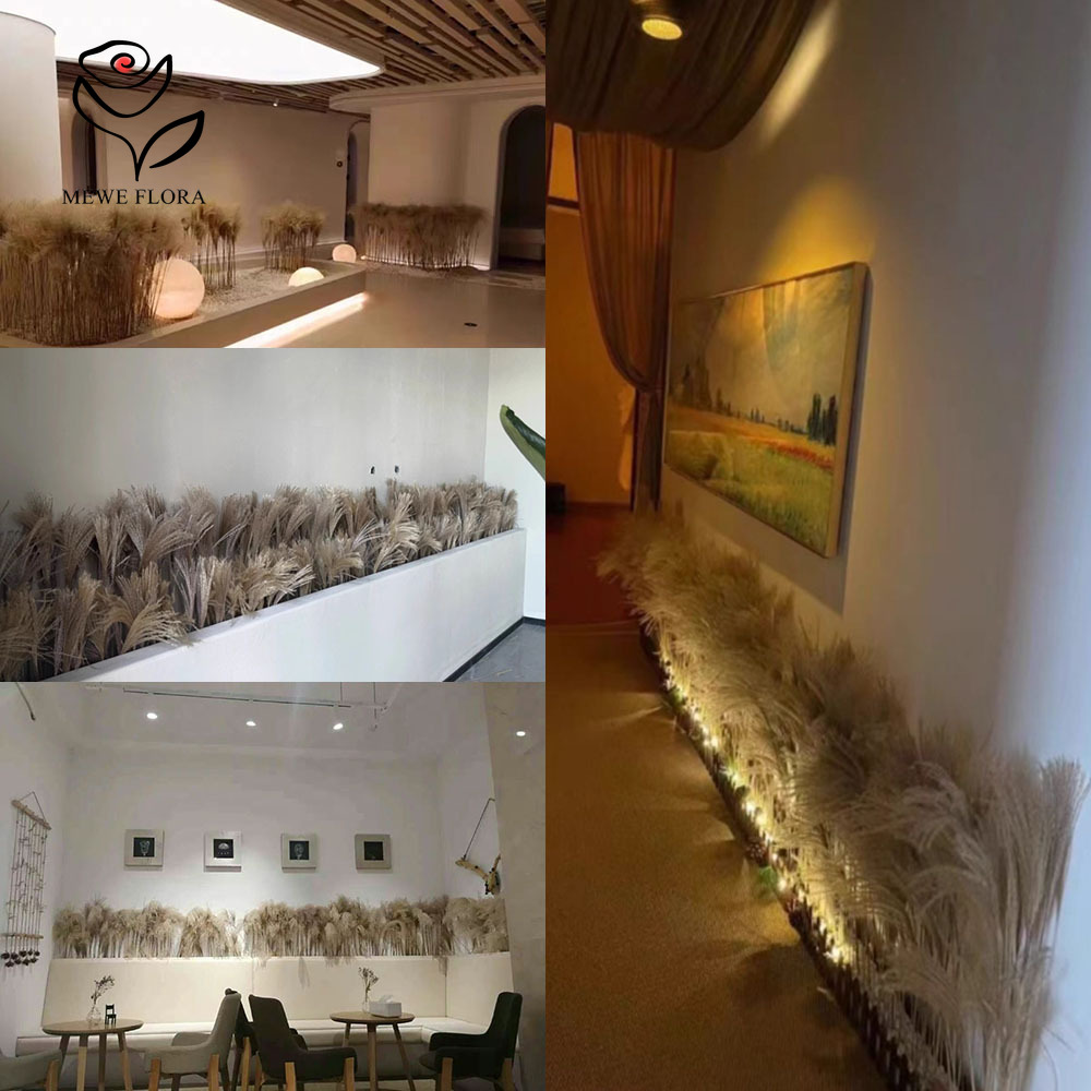 200 SZTUK Naturalnych Suszonyc – Luxury Lifestyle Items recenzja i cena